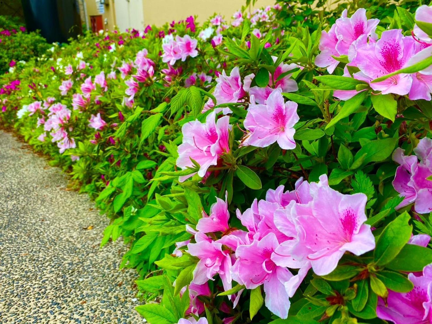 Bekkan Yosanoso Miyazu Ngoại thất bức ảnh
